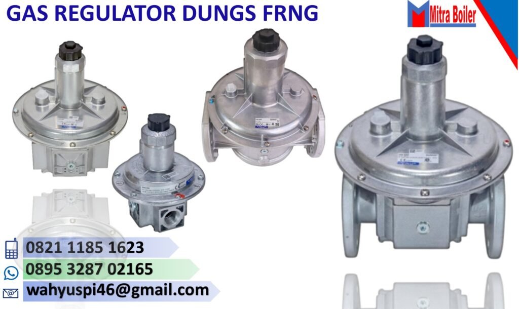 GAS REGULATOR DUNGS FRNG