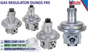 JUAL GAS PRESSURE REGULATOR DUNGS- TYPE FRS