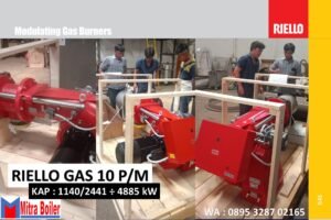 DATA TEKNIS GAS 10 P/M MODULATING