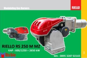 DATA TEKNIS RIELLO RS250/M MZ MODULATING